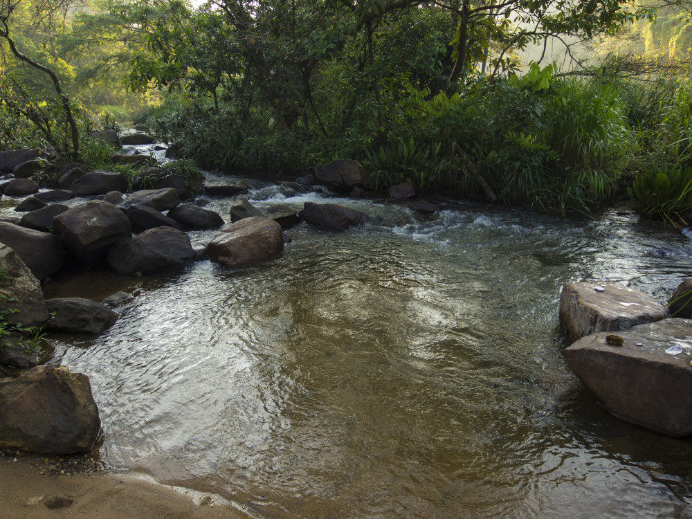 Kelani rivier in Sri Lanka - Undiscovered.nl