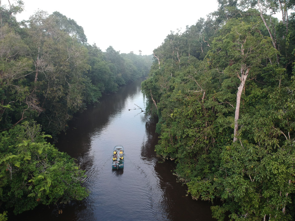 Kinabatangan Riverside Lodge, Borneo - Undiscovered.nl