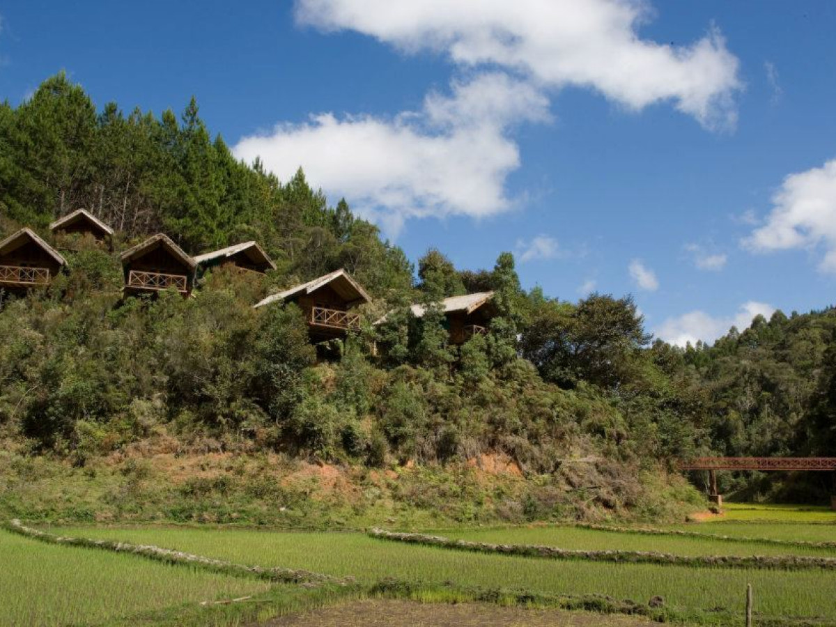 Saha Forest Camp, Madagascar - Undiscovered.nl
