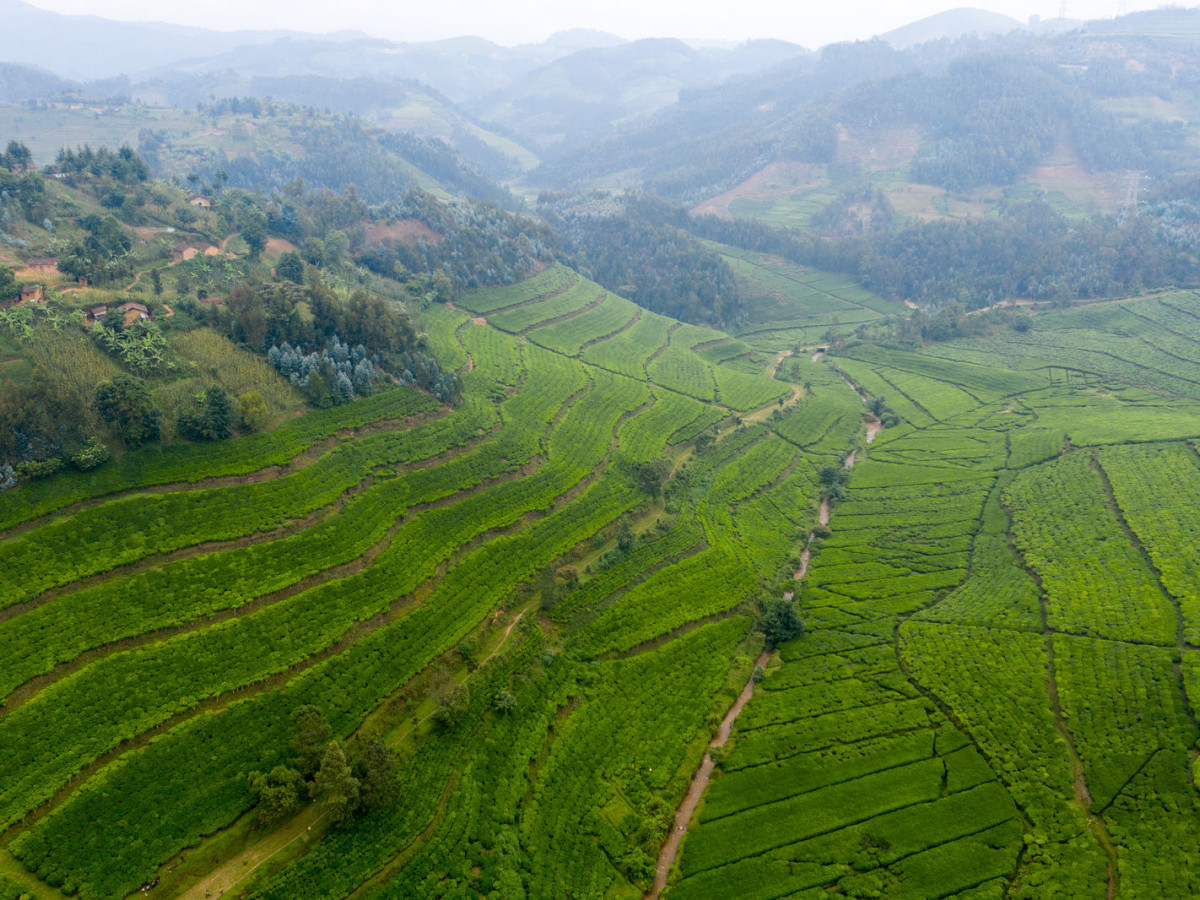 Lake Kivu Rwanda - Undiscovered.nl