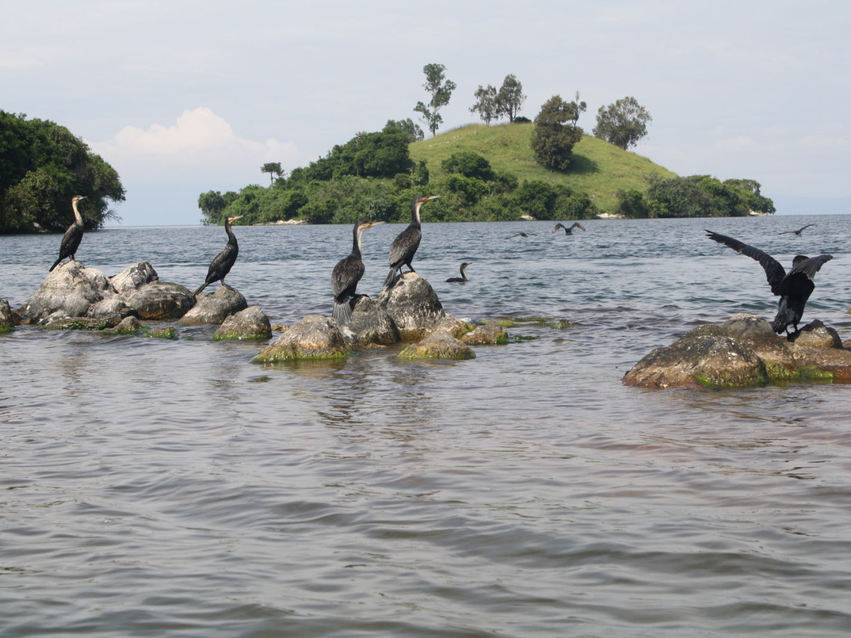 Lake Kivu Rwanda - Undiscovered.nl