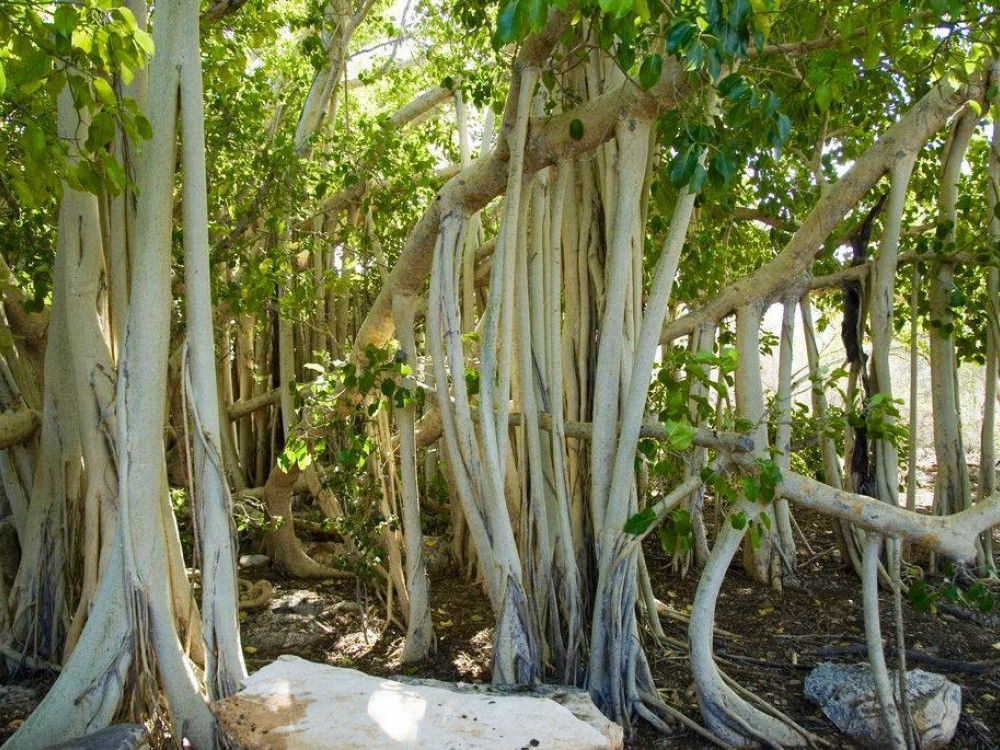 Tsimanampetsotse National Park, Madagascar - Undiscovered.nl