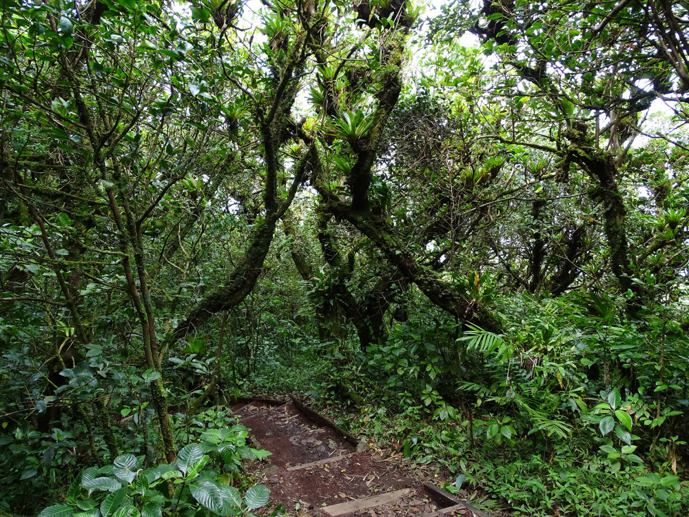 Mombacho in Nicaragua - Undiscovered.nl