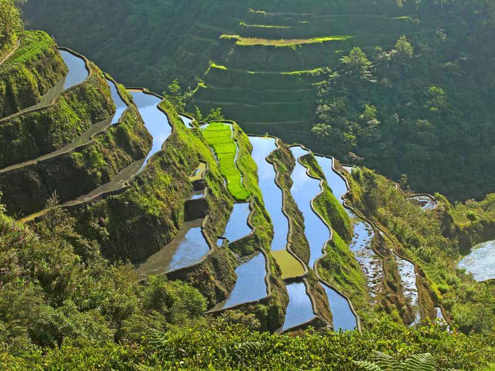 Rijstterrassen in Luzon Noord, Filipijnen - Undiscovered.nl