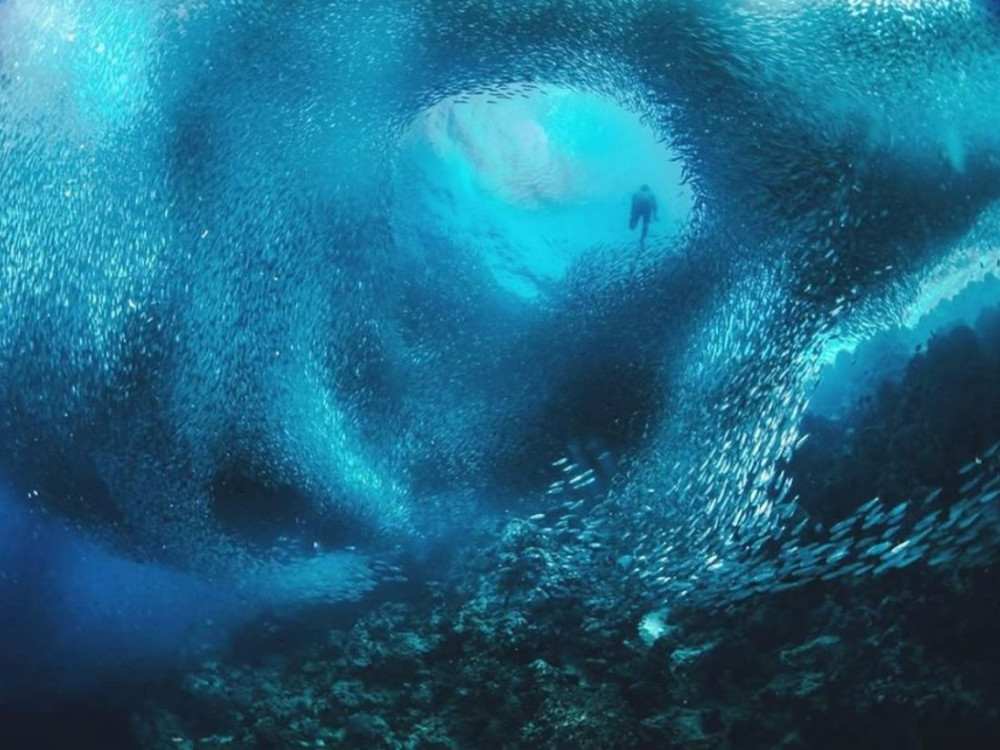 Duiken Cebu Filipijnen - Undiscovered.nl