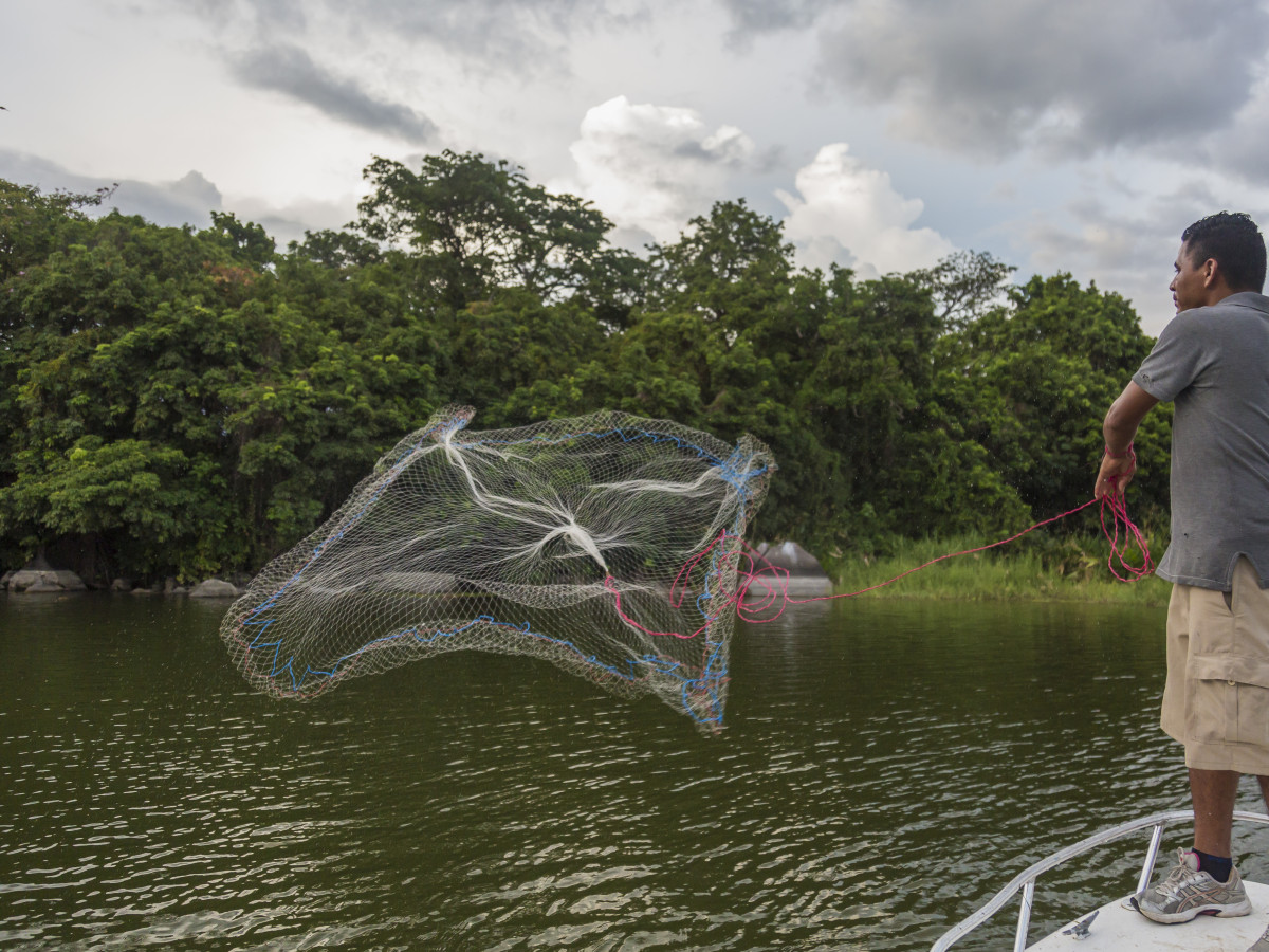 Visser in Nicaragua - Undiscovered.nl