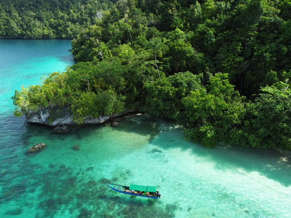 PapuArts Camping - Undiscovered.nl