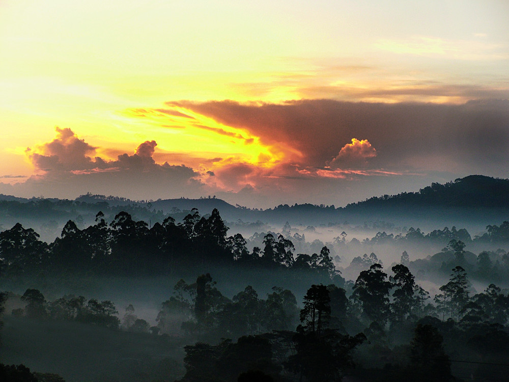 Zonsondergang in Sri Lanka - Undiscovered.nl