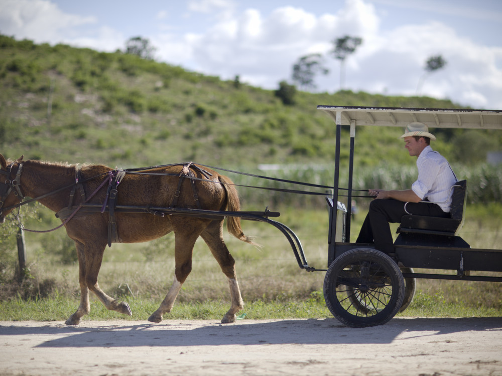 Paard-en-wagen, Belize - Undiscovered.nl