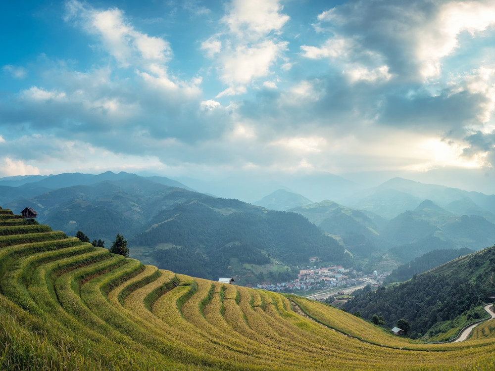 Agricultuur, West-Maleisië - Undiscovered.nl