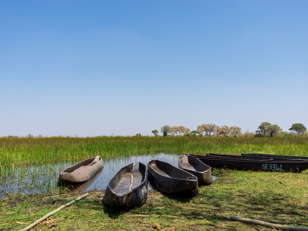 Mokoro boten in Botswana - Undiscovered.nl