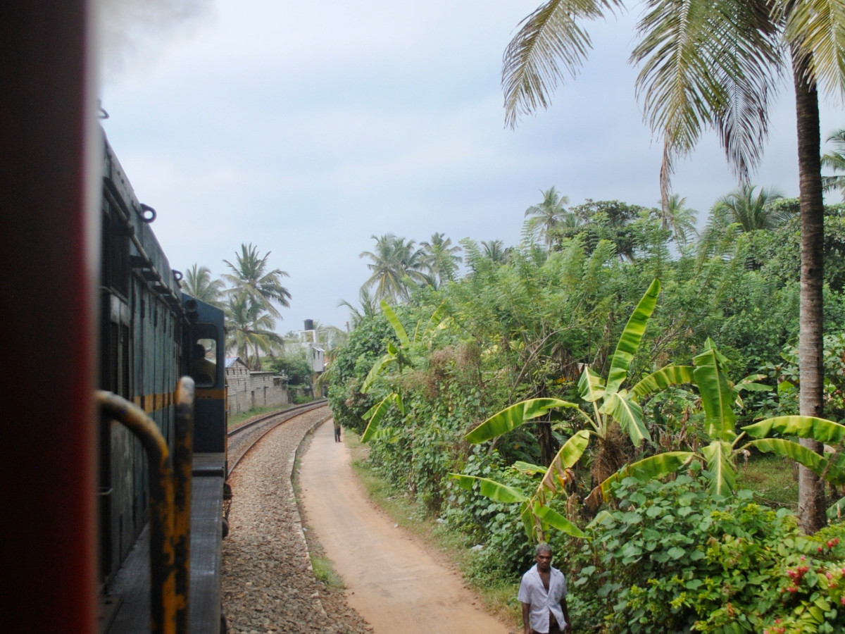 Treinreis door Sri Lanka - Undiscovered.nl