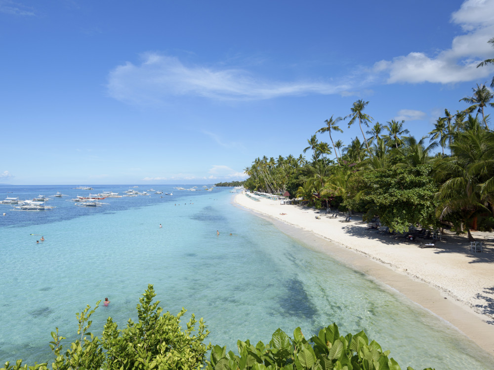 strand zee palmbomen panglao beach filipijnen - Undiscovered.nl
