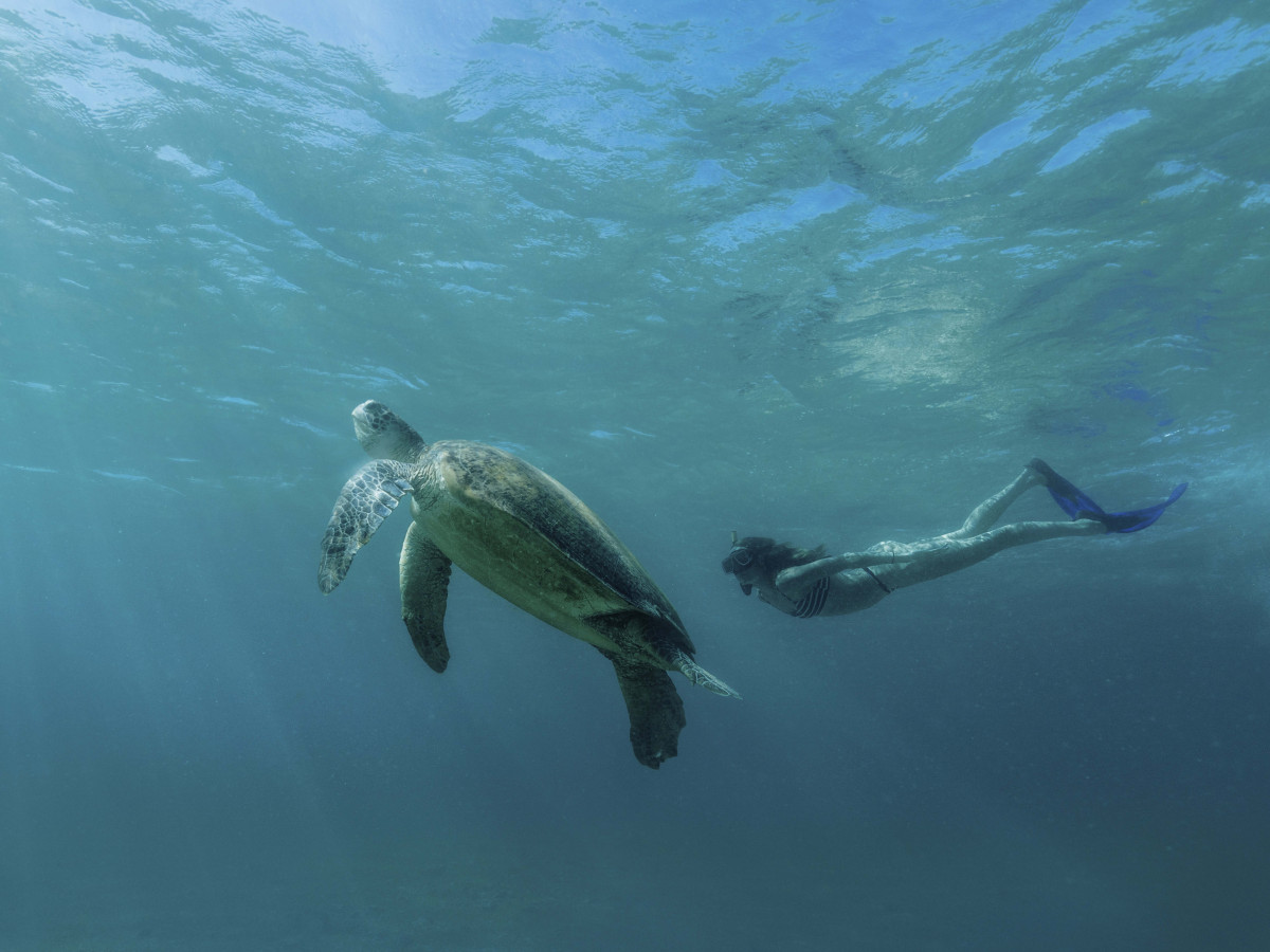 Snorkelen Amanpulo, Filipijnen - Undiscovered.nl