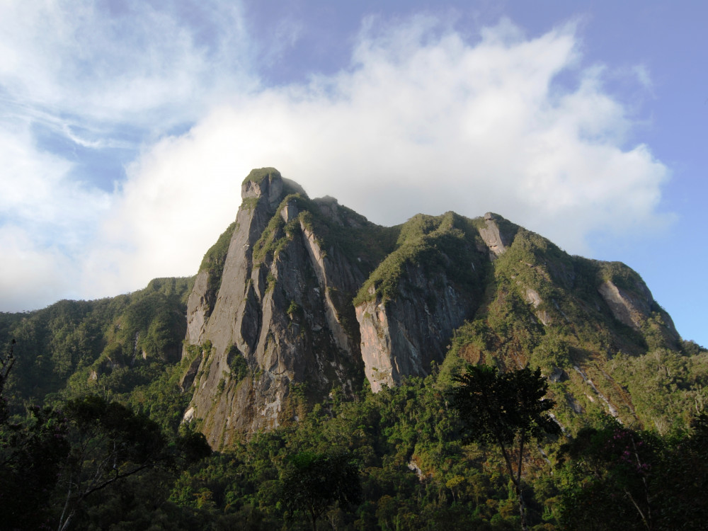 Marojejy National Park, Madagascar - Undiscovered.nl