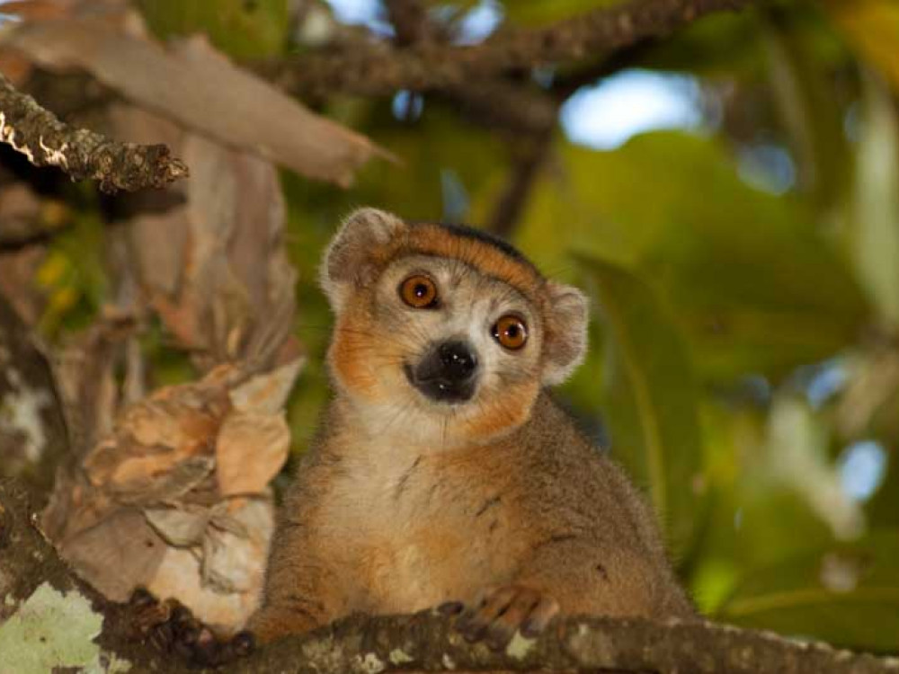 Amber Mountain National Park, Borneo - Undiscovered.nl