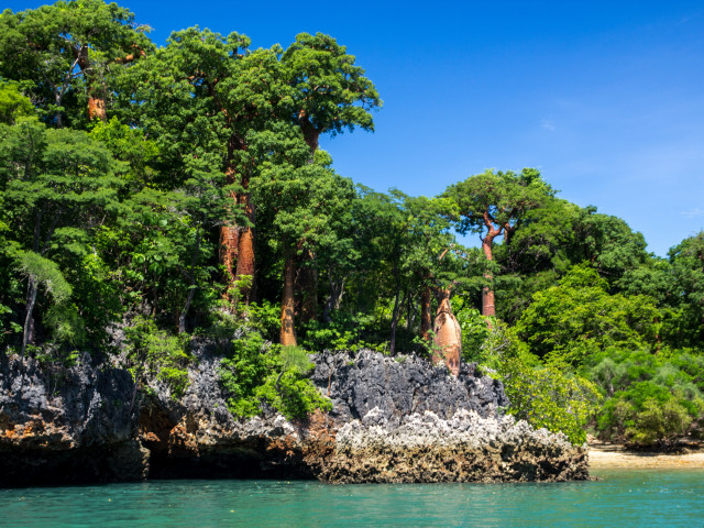 Natuurlandschap in Madagascar - Undiscovered.nl