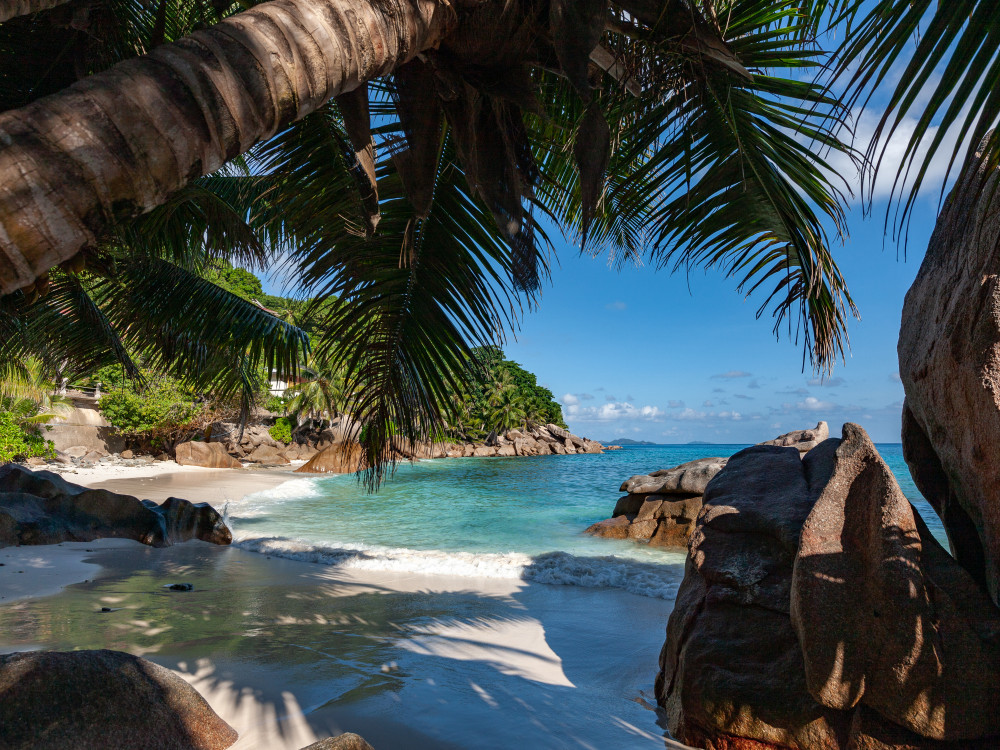 Anse patatas La Digue Seychellen - Undiscovered