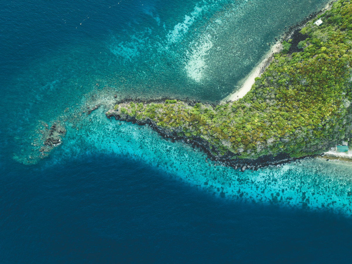 Apo Island, Visayas, Filipijnen - Undiscovered.nl
