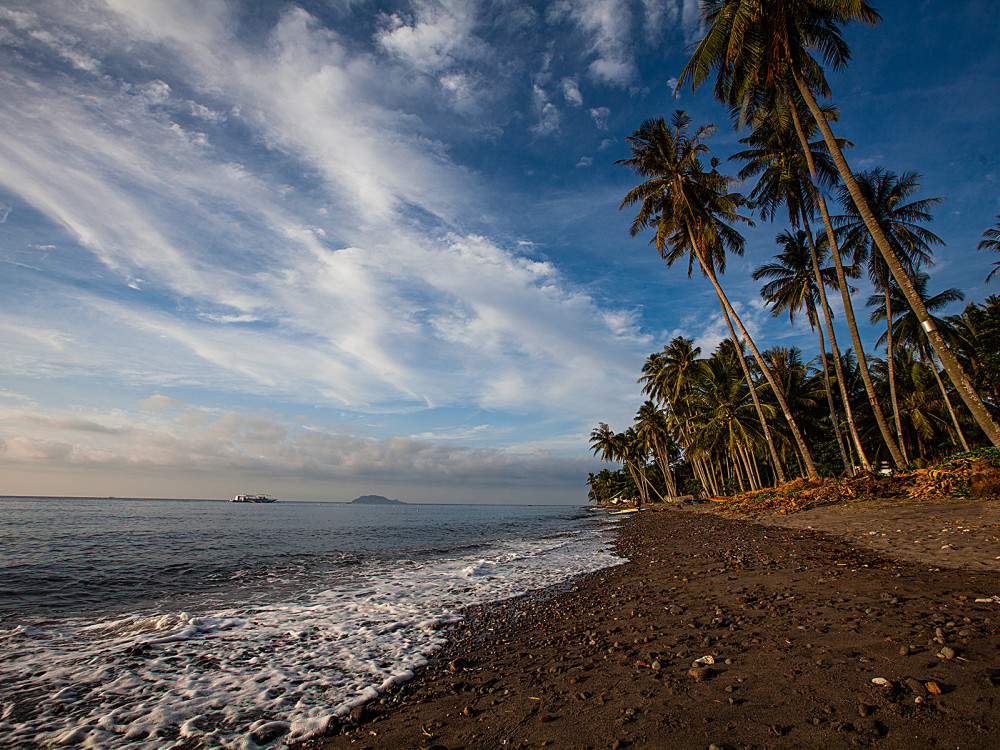strand zee palmbomen negros dumaguete filipijnen - Undiscovered.nl