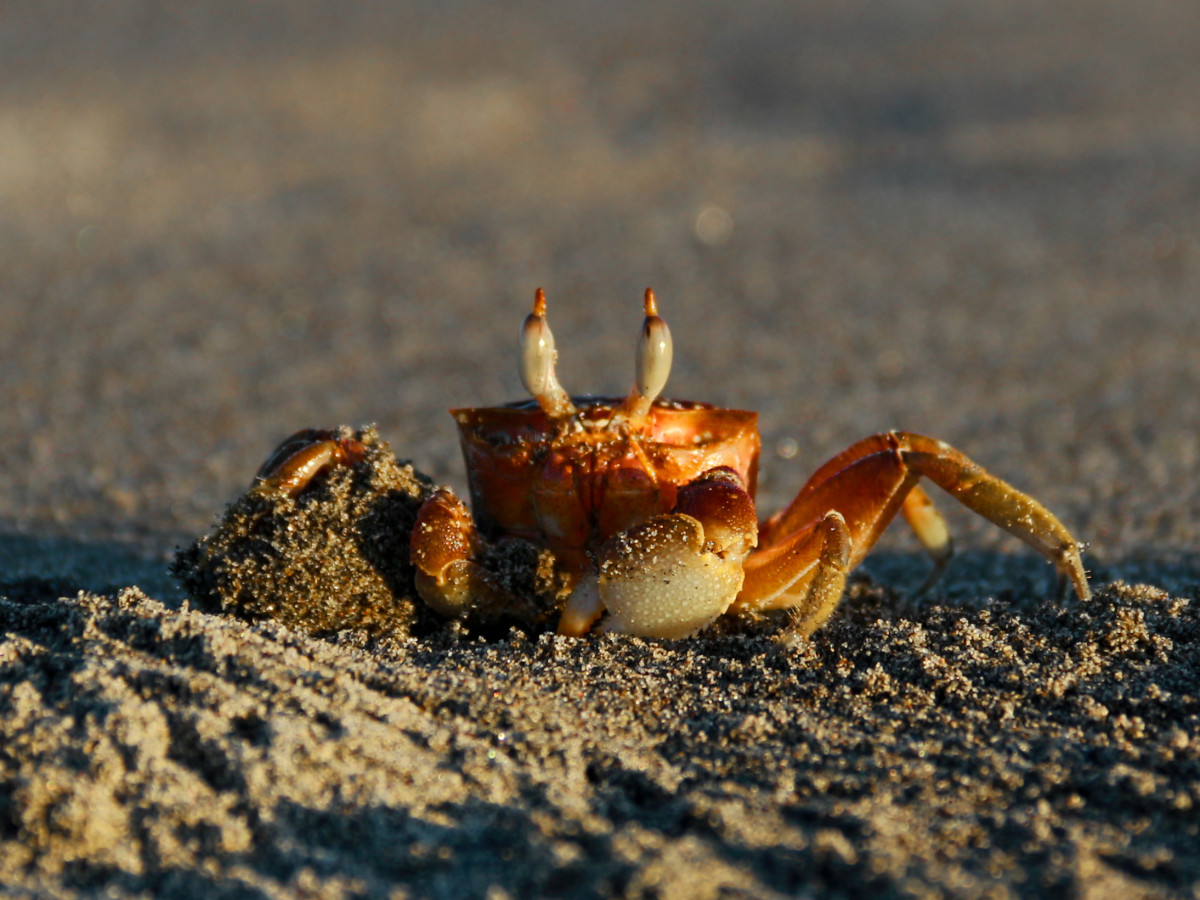 Bahía de Jiquilisco, El Salvador - Undiscovered.nl