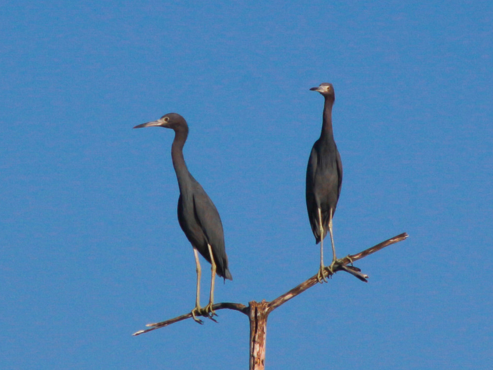 Bahía de Jiquilisco, El Salvador - Undiscovered.nl