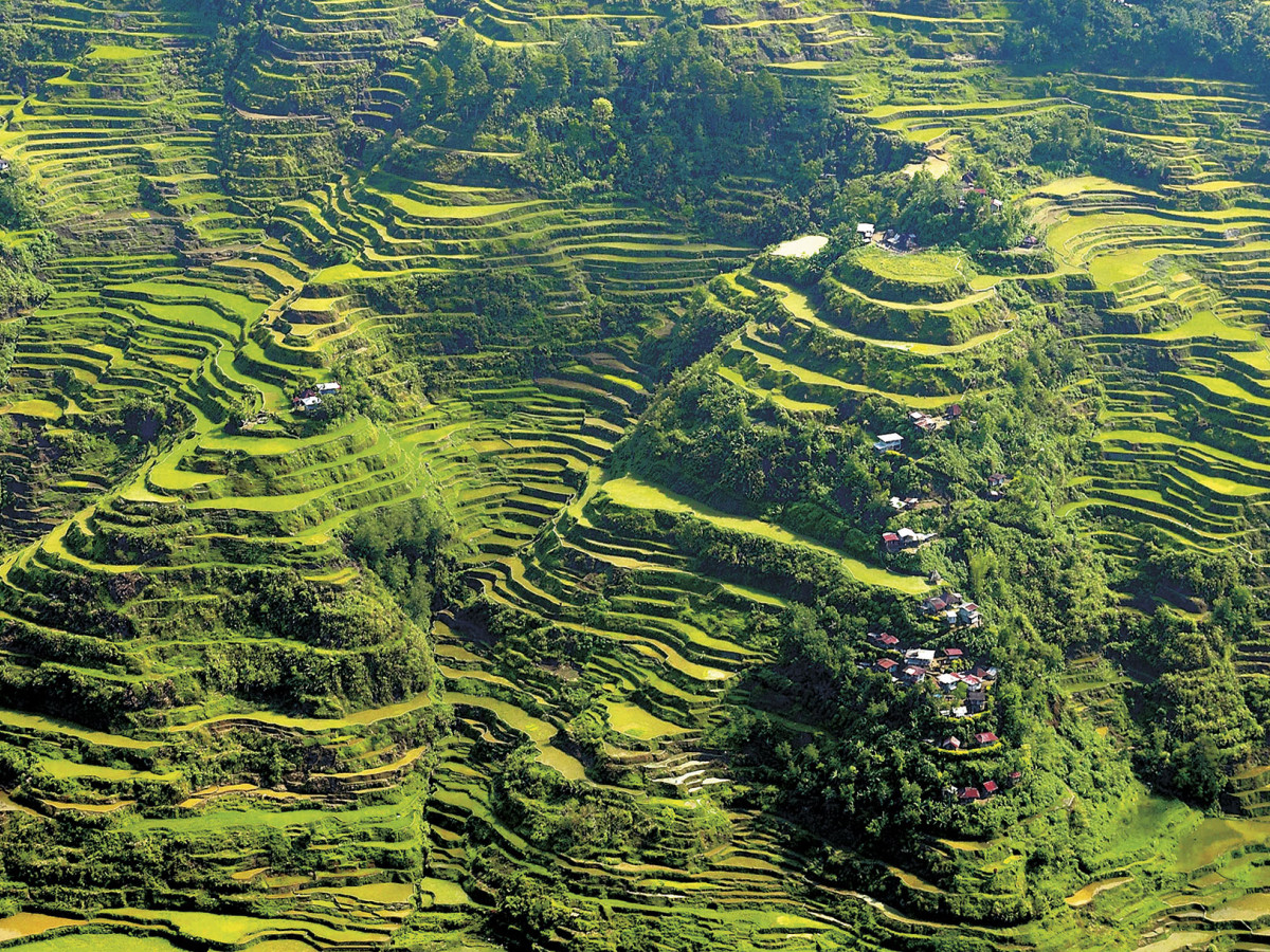 Rijstterrassen Banaue Luzon Filipijnen - Undiscovered.nl