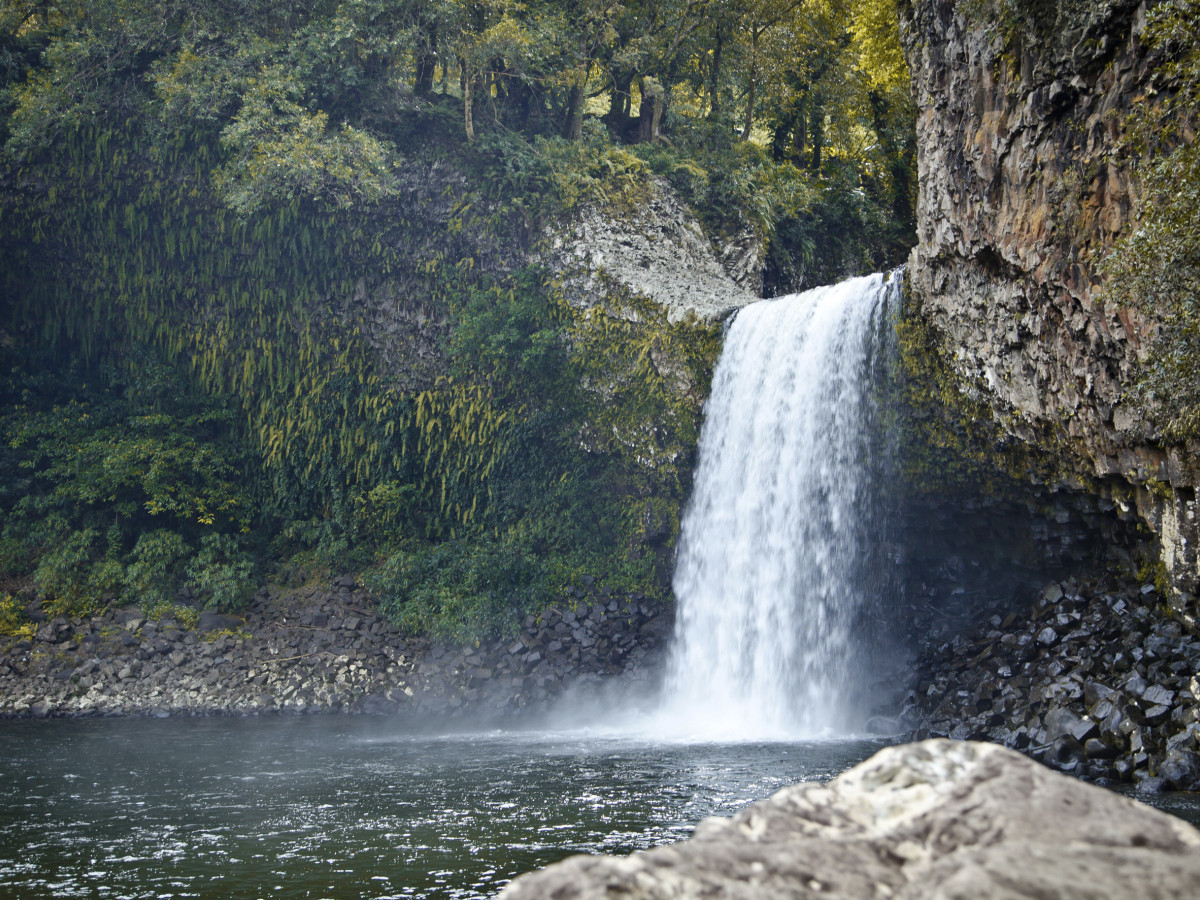 Waterval in Réunion - Undiscovered.nl