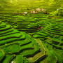 Batad Rijstterrassen, Noord Luzon, Filipijnen - Undiscovered.nl