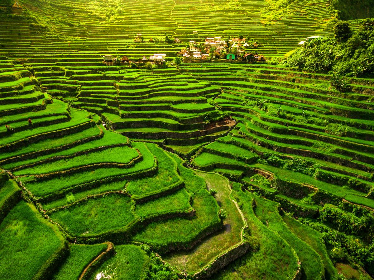 Batad Rijstterrassen, Noord Luzon, Filipijnen - Undiscovered.nl