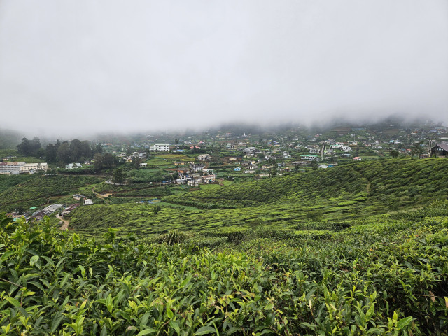 Nuwara Eliya Sri Lanka - Undiscovered.nl