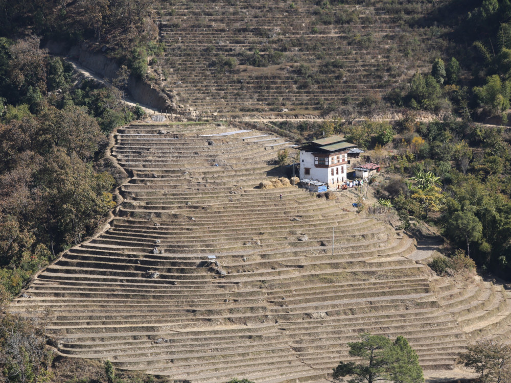 Dry Rice Terraces, Bhutan - Undiscovered.nl