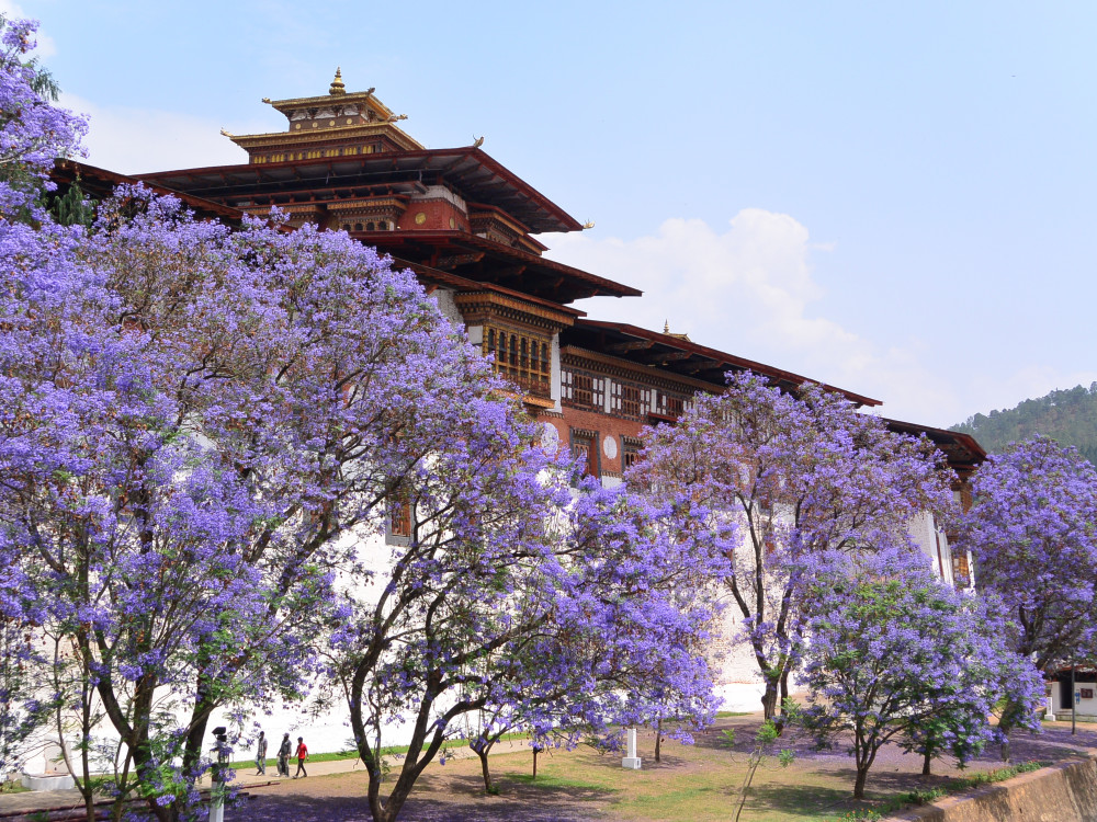 Punakha Dzong, Bhutan - Undiscovered.nl
