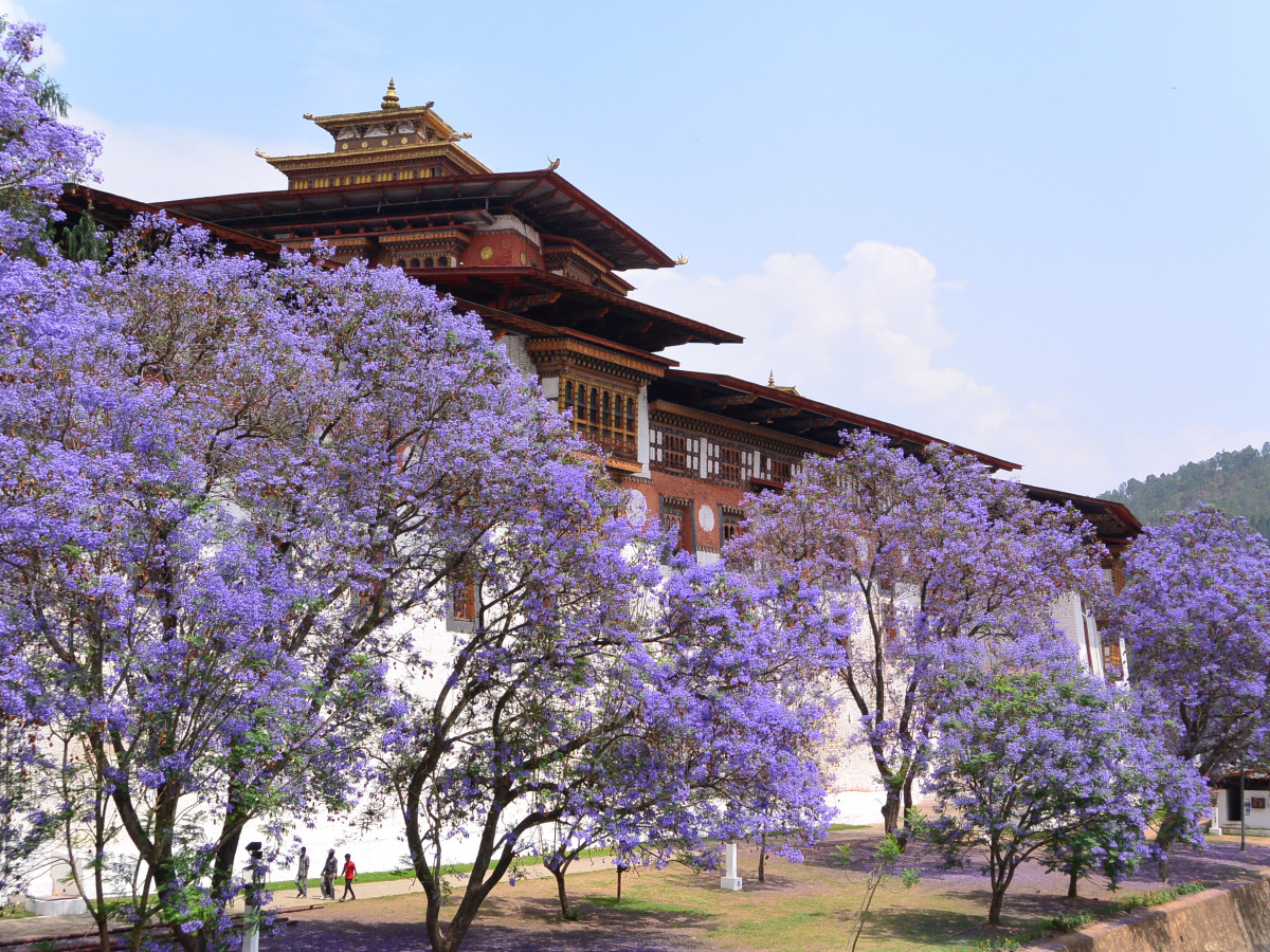 Punakha Dzong, Bhutan - Undiscovered.nl