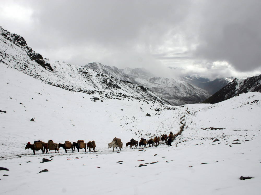 Trekking, Bhutan - Undiscovered.nl