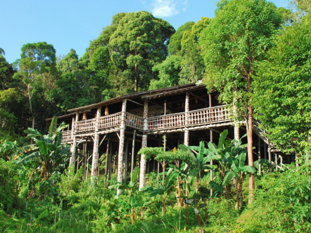 Jungle Lodge in Borneo - Undiscovered.nl