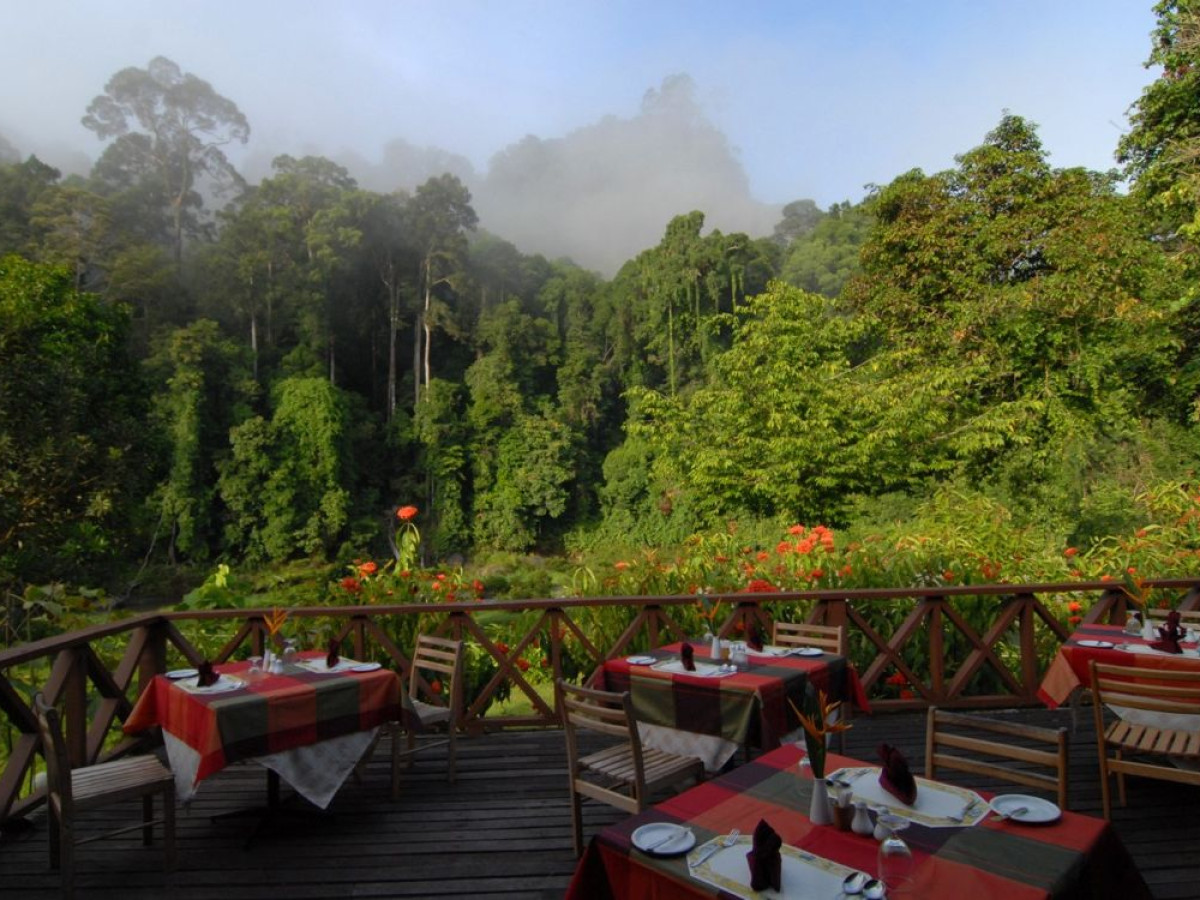 Borneo Rainforest Lodge - Undiscovered.nl