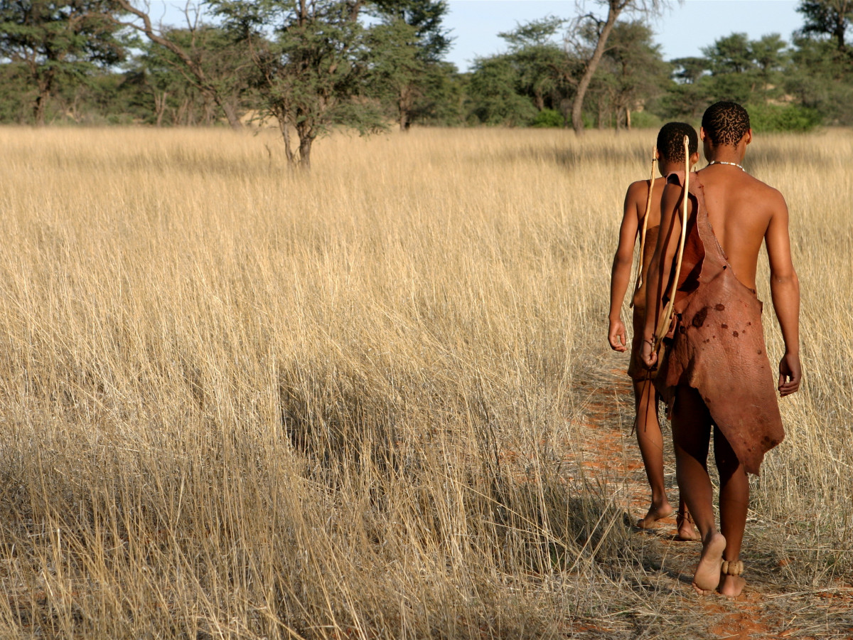 San Bosjesmannen, Namibië - Undiscovered.nl