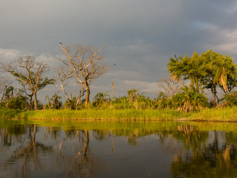 Chobe National Park Botswana - undiscovered.nl