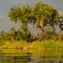 Chobe National Park Botswana - undiscovered.nl