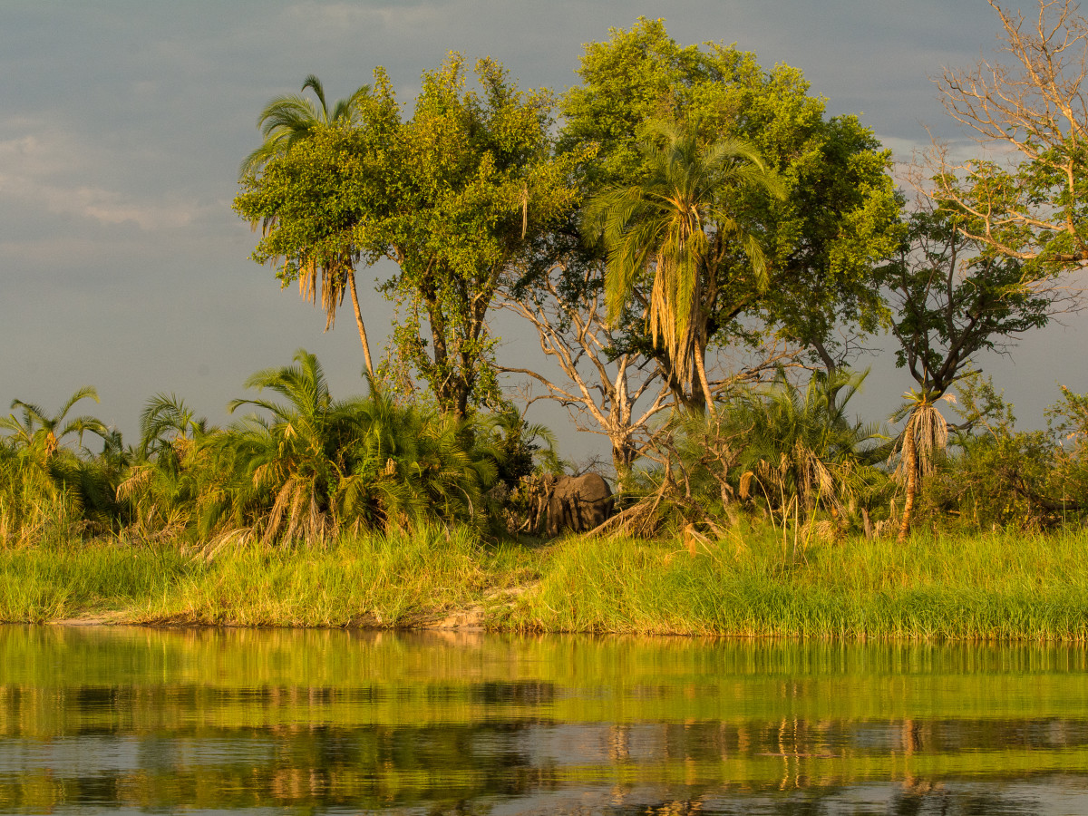 Chobe National Park Botswana - undiscovered.nl