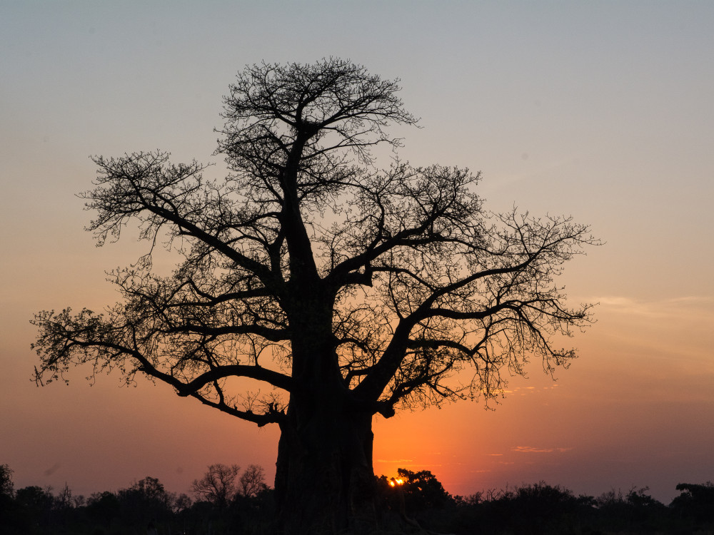 Makgadikgadi Pans Botswana - undiscovered.nl