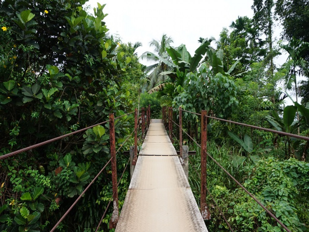 Kelani Valley Forest Reserve - Undiscovered.nl
