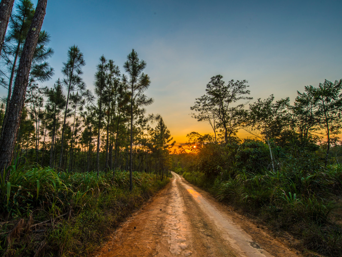 Mountain Pine Ridge, Belize - Undiscovered.nl
