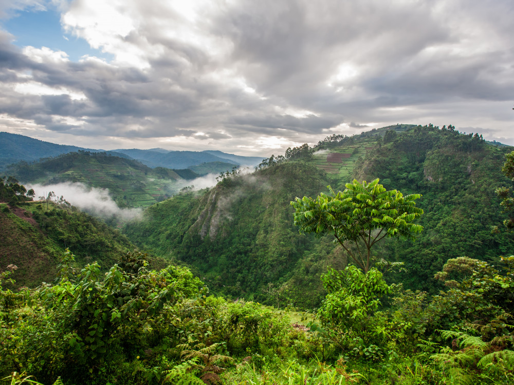 Natuurgebied in Oeganda - Undiscovered.nl