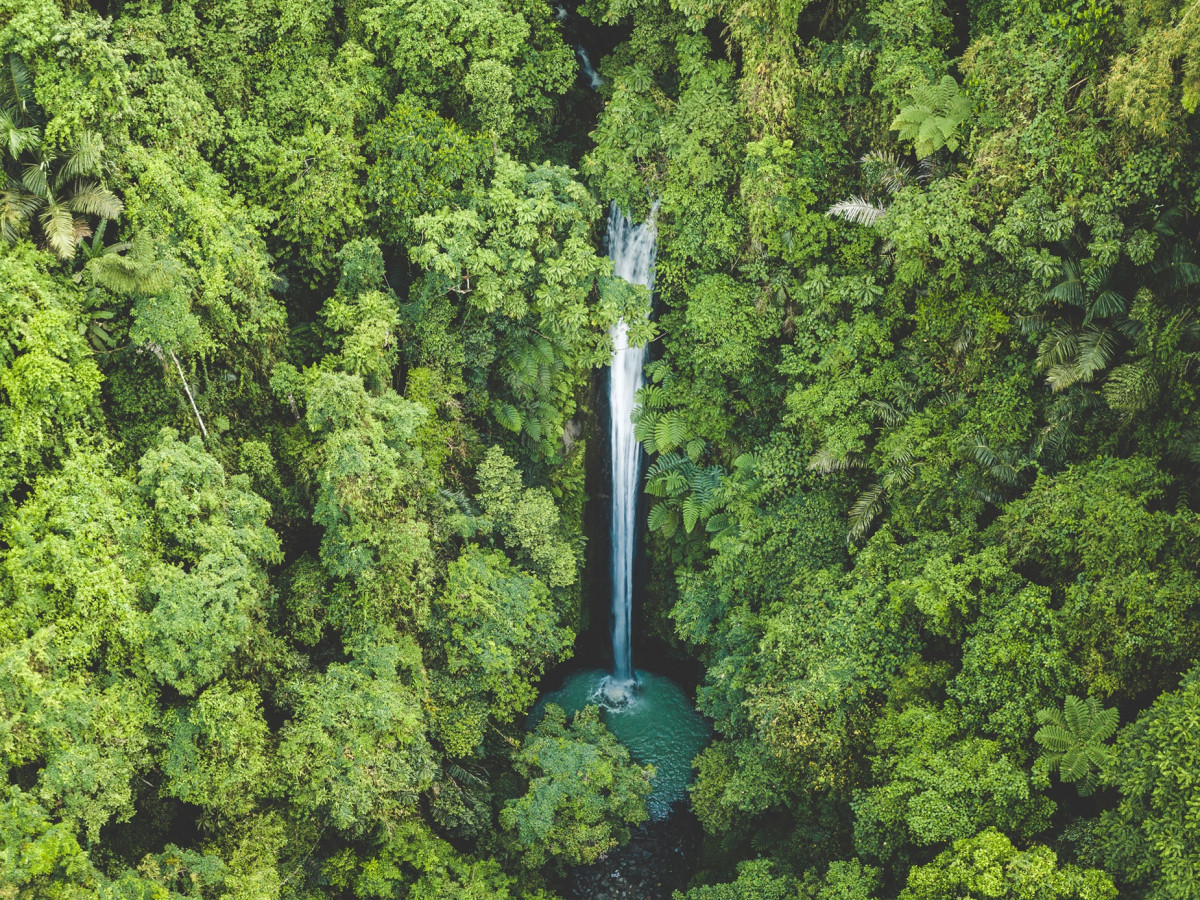 Casaroro Waterval, Negros, Filipijnen - Undiscovered.nl