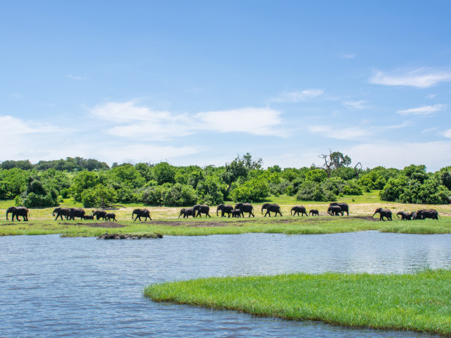 Chobe National Park, Botswana - Undiscovered.nl