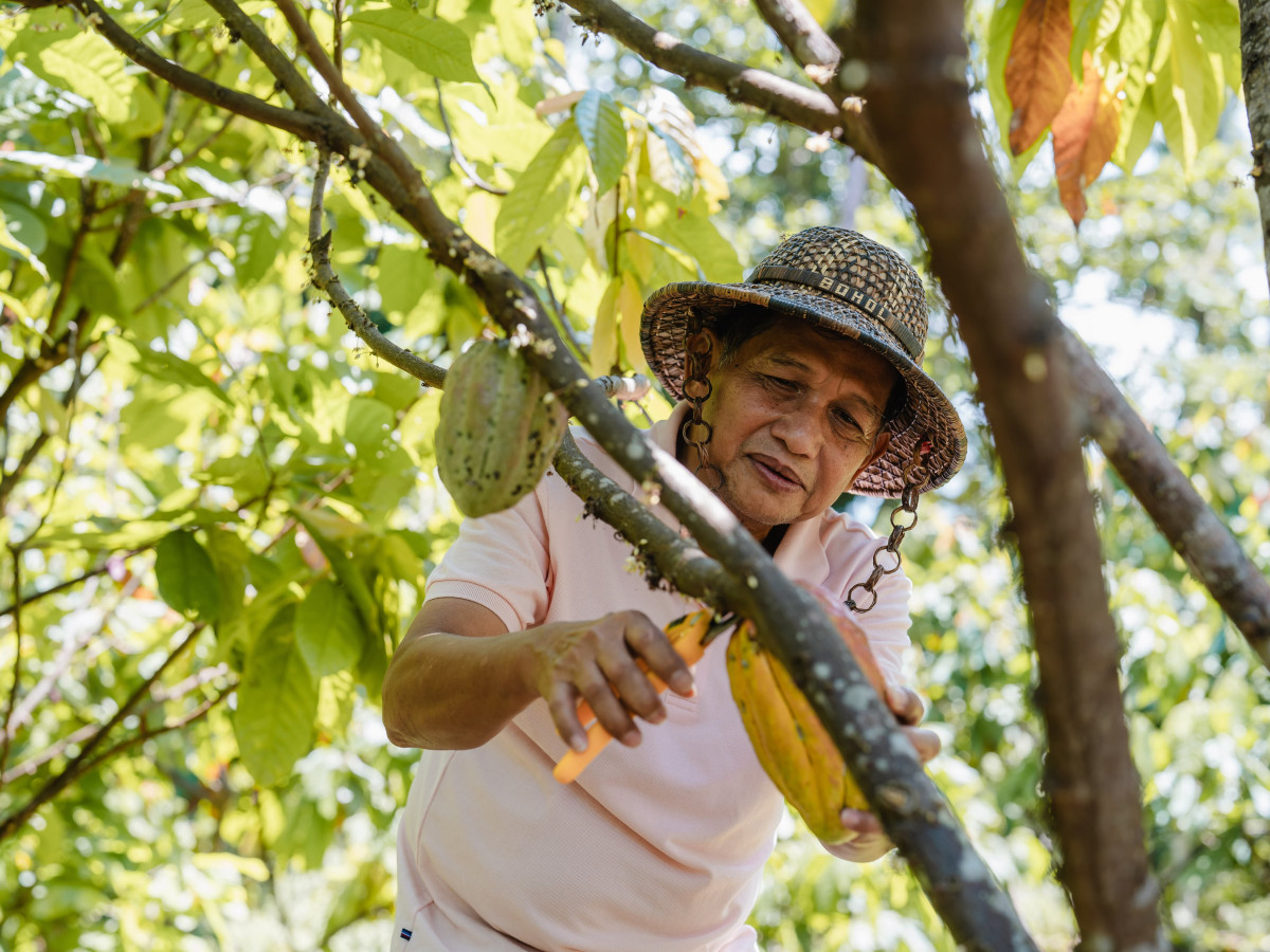 Local op de Lasang Cacao Farm, Bohol - Undiscovered.nl