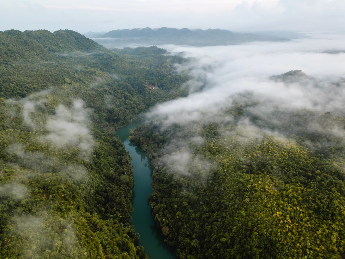 Loboc rivier op Bohol van bovenaf, Filipijnen - Undiscovered.nl