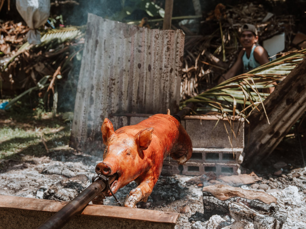 Varken aan het spit tijdens Sagay Fiesta op Camiguin, Filipijnen - Undiscovered.nl